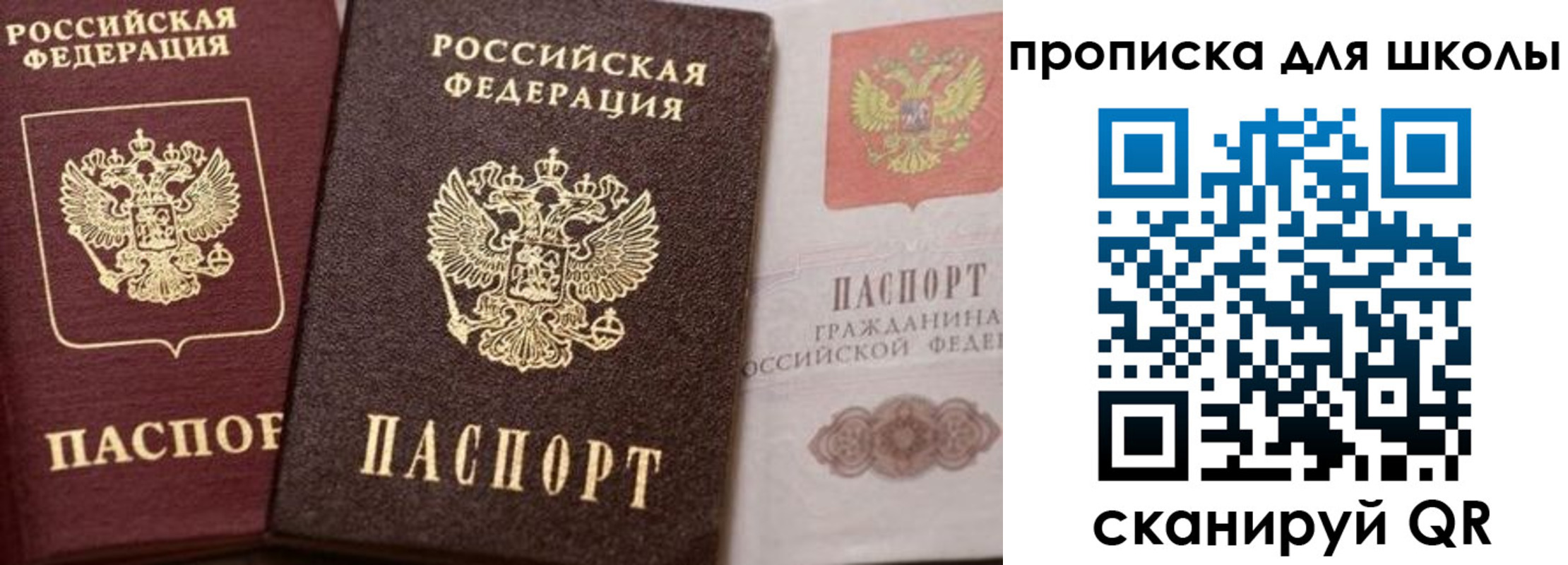 прописка законно в Ершове